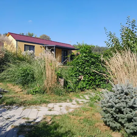 Siedlisko Pod Debem Guest house *