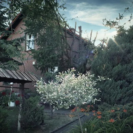 Siedlisko Pod Debem Πανσιόν 3*