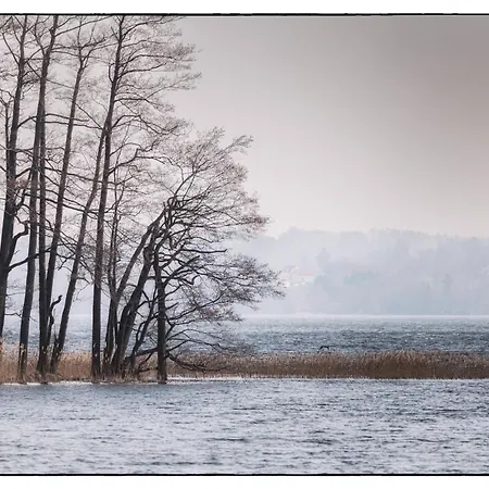 Siedlisko Pod Debem 3* Wilimy