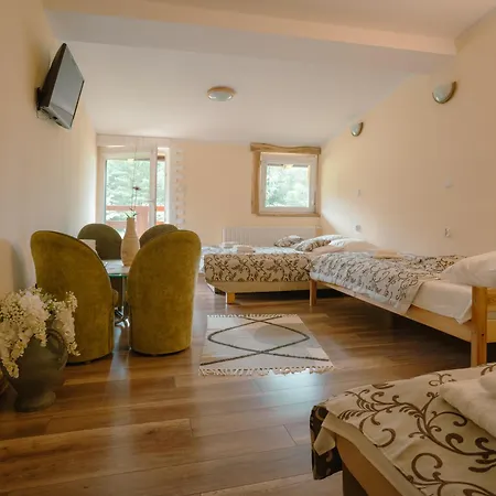 Πανσιόν Siedlisko Pod Debem 3*