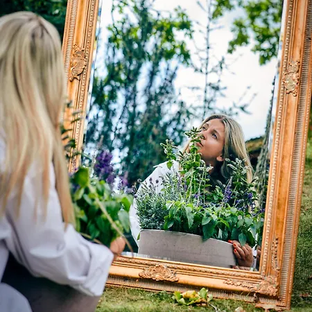 Siedlisko Pod Debem 3* Wilimy